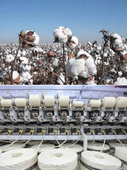 【マストバイ】アメリカンレトロコットン100%半袖Tシャツ