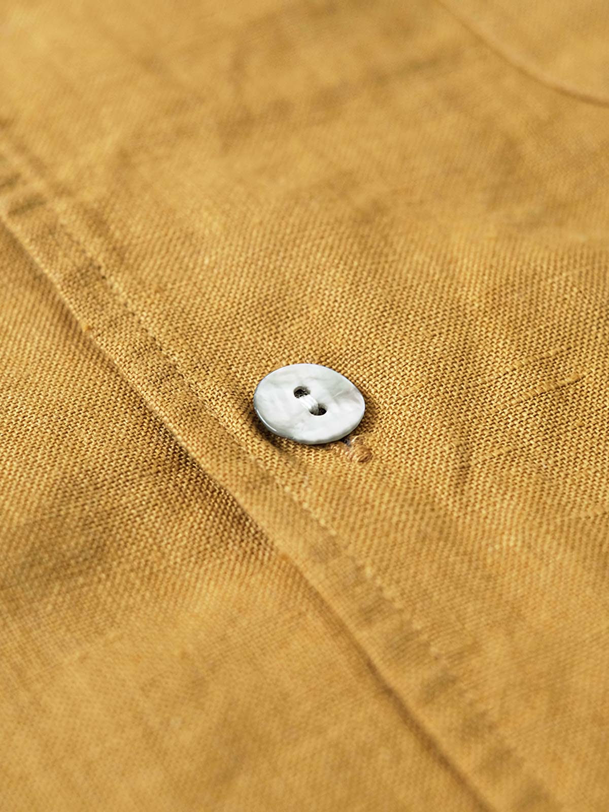 シャツのワンピースカラーとナチュラルシェルボタンのクローズアップ