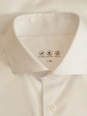 エコソフト モダール混紡 ノーアイロン ウィンザーカラー長袖シャツ