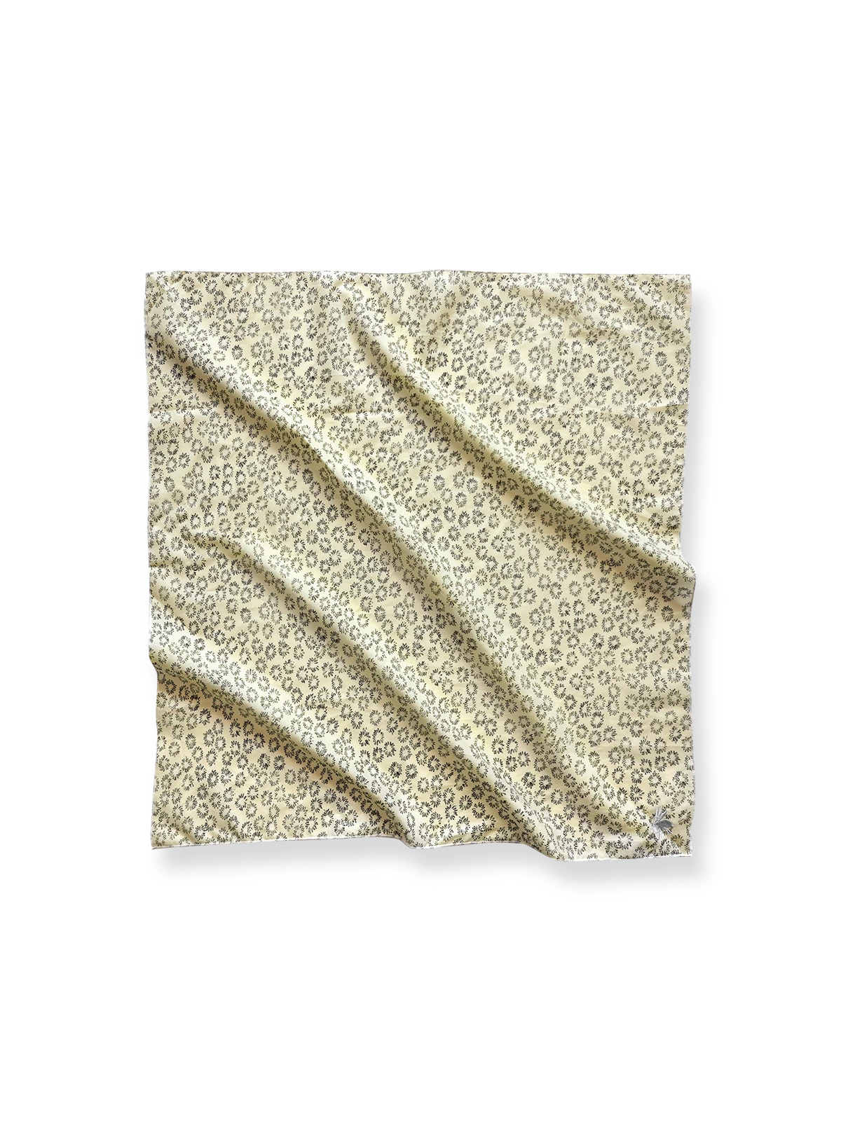 ペイズリー柄とドット柄のリネンコットン混紡スカーフ全体画像