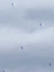 PESSOA CLUBのピーターパンカラーとドットプリントのディテール