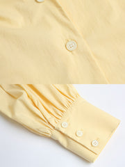 ピーターパンカラー Vネックランタンスリーブシャツ