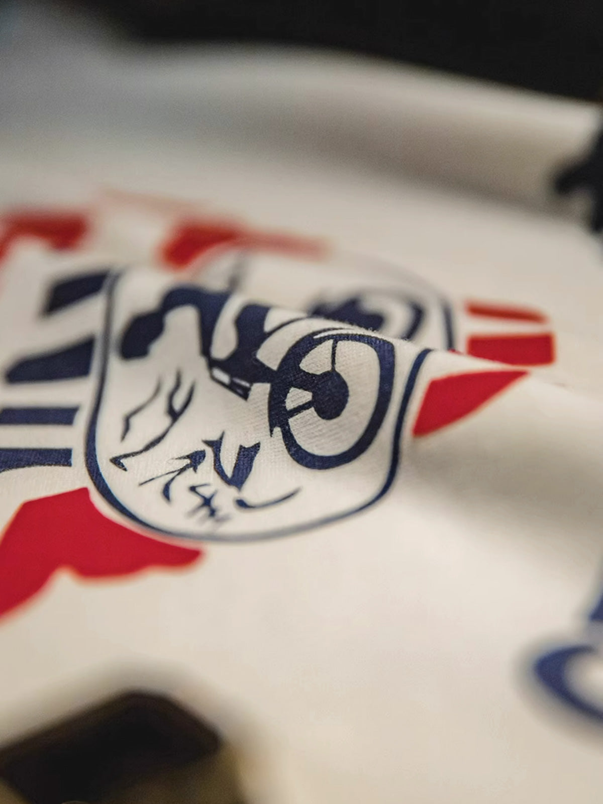 Tシャツ胸元の「Catalina Grand Prix」モーターサイクルレースのレトロプリントクローズアップ。