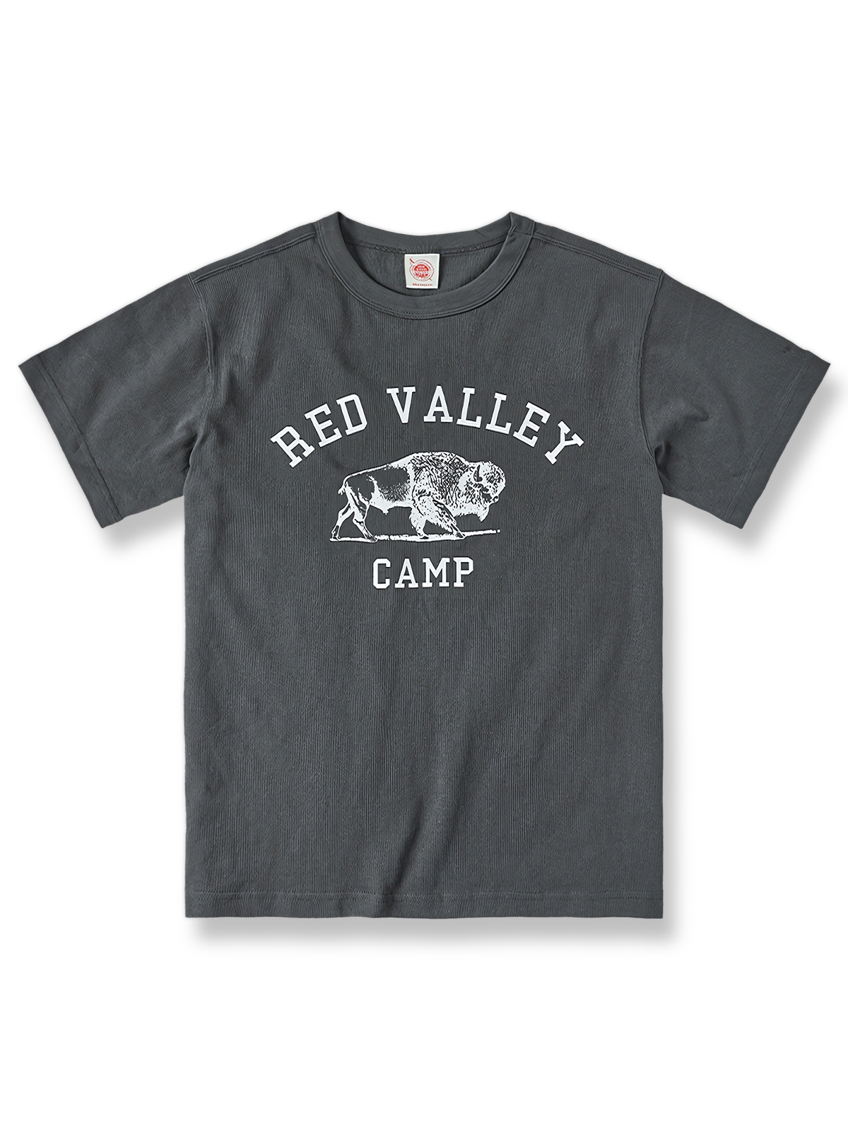 アメリカンヴィンテージ バイソン キャンプ Tシャツの全体像