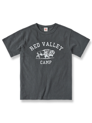 アメリカンヴィンテージ バイソン キャンプ Tシャツの全体像