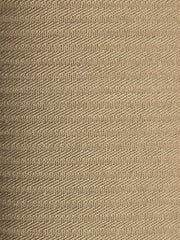 ハイウエスト ダブルプリーツ ガーカショートパンツ