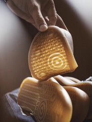 テニスブルー GAT 復刻トレーナー