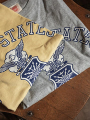 エアフォース ビンテージトレーニングTシャツ