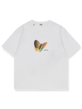 MSNカラー蝶プリントTシャツ