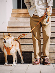 ローカット デッキ シューズ