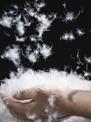 3色 ワックスサーフェス ダウンジャケット