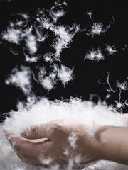 薄手 ダウン ベスト