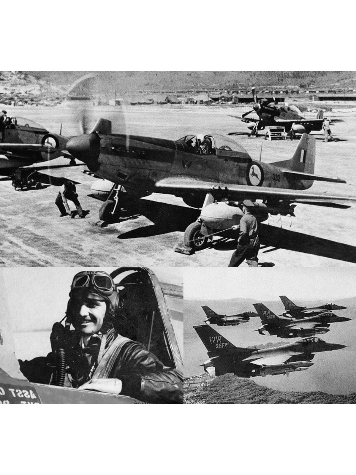 製品画像: 空中戦闘司令部シリーズのN3B中綿フライトジャケット全体を展示した画像。クラシックなミリタリーデザインの特徴が一目でわかる、保温性と防風性能を兼ね備えたジャケット。

詳細画像: アライグマ風の合成ファー襟とフライトエンブレムのディテールがクローズアップされた画像。襟の柔らかい質感とエンブレムのディテールが、ジャケットの軍旅スタイルを引き立てる。