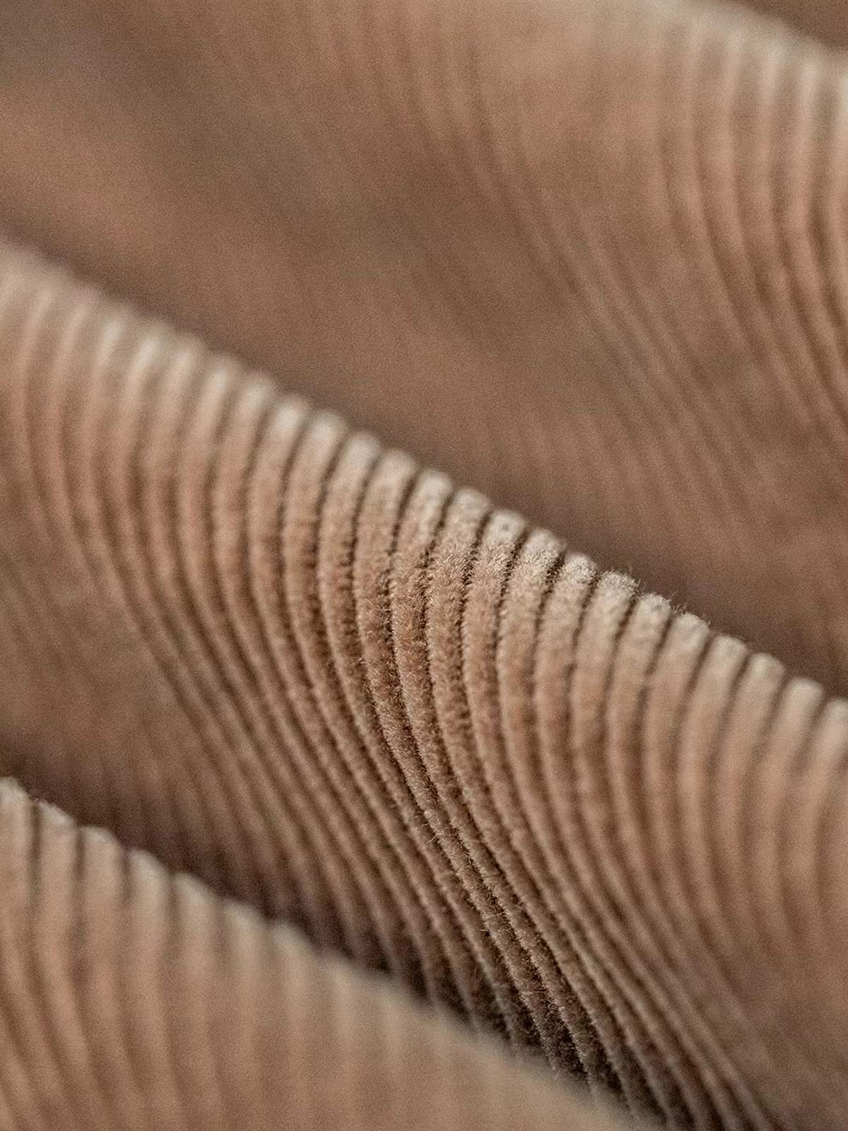 製品画像: ヴィンテージ風多ポケットコーデュロイカジュアルパンツ全体表示。11ウェールコーデュロイとレイヤード感が特徴で、秋冬スタイルに適したデザイン。

詳細画像: 木目調ボタンや多ポケットデザインのディテール表示。アンティーク風のメタルタグや異なるベルトループの幅がアクセント。