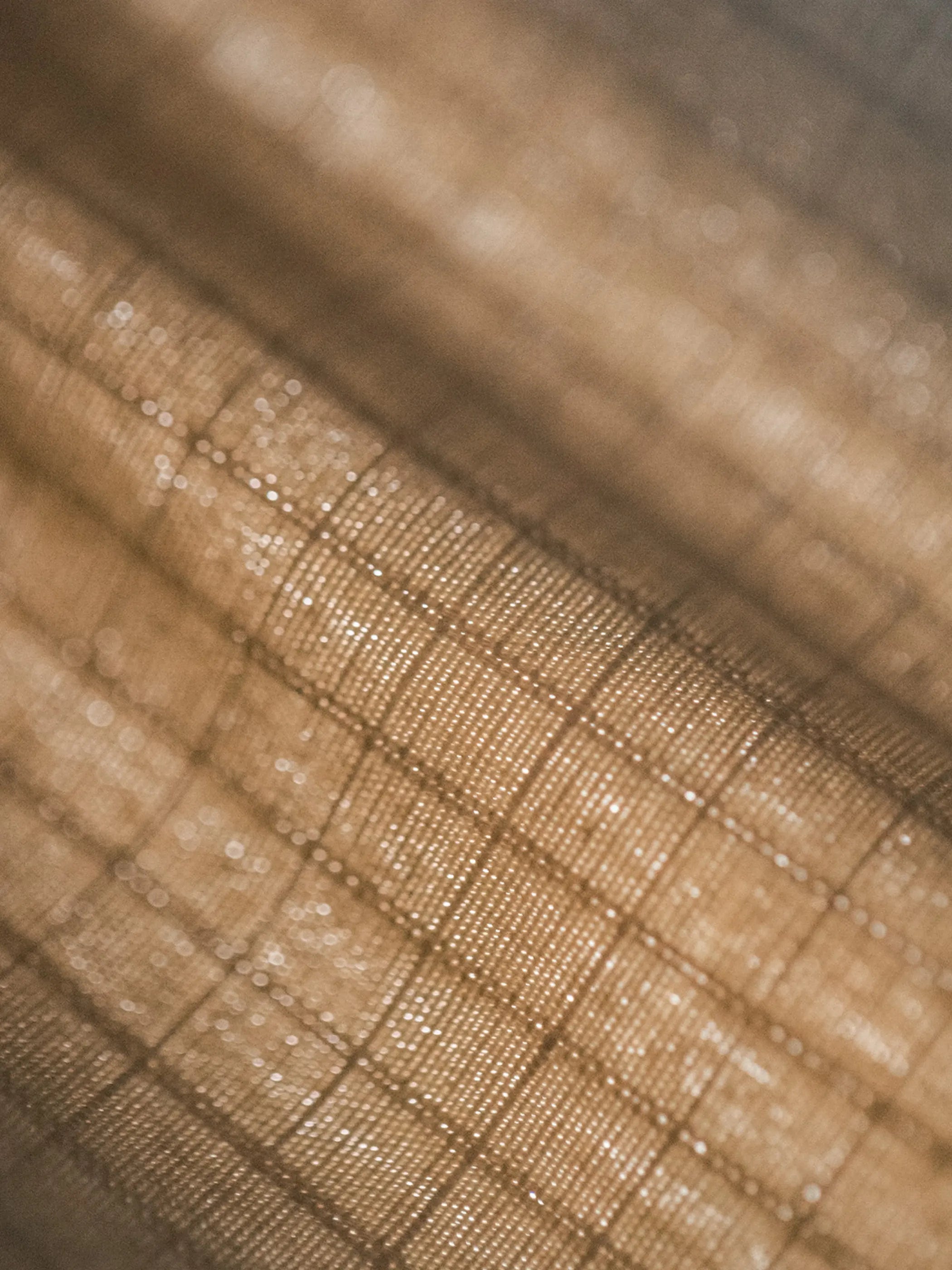 カーキ色のワイド速乾ショーツ前面全体