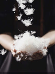 スタンドカラー 90%ホワイトダックダウンジャケット